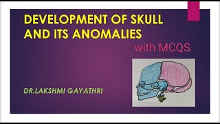 Development Of Skull And Its Anomalies
