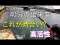 宮城釣り 防波堤フラット 40分の出来事 #東北  #宮城 #釣り