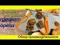 Домашний Ореховый Бизнес/Комплект для докола ореха.