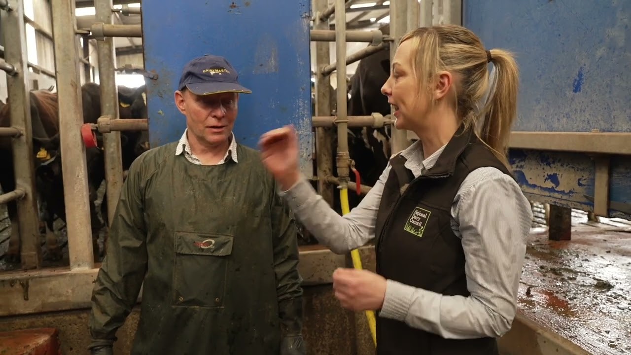 Donal Kavanagh's Dairy Farm - Mootube Live 2024