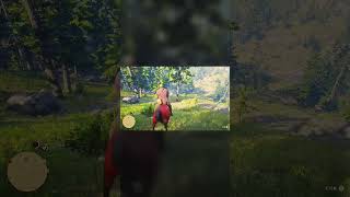 ​A strange encounter in the Grizzlies...