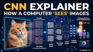 How a CNN Sees an Image (explained with a cat)