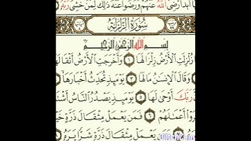 سورة الزلزلة بصوت القارئ محمد ميدي المت