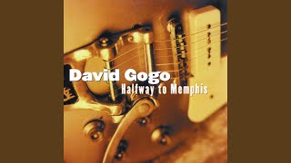 Video thumbnail of "David Gogo - This Is A Man's World"