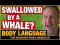 Man Swallowed By Whale: Did It Really Happen To Michael Packard?