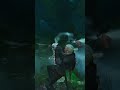 Geralt le bouché