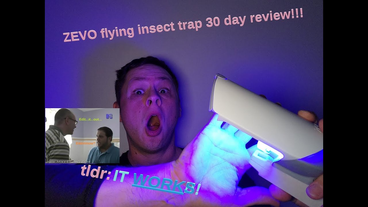 Product Review Zevo Flying Insect Trap One month in YouTube