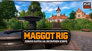 Ловля карпа оснасткой Maggot rig на Янтарном озере - Русская Рыбалка 4