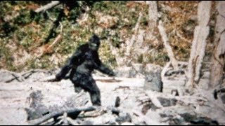 Paranormals  - Close Encounters with Bigfoot (bigfoot sightings)