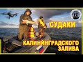 Рыбалка на судака  Калининградский залив