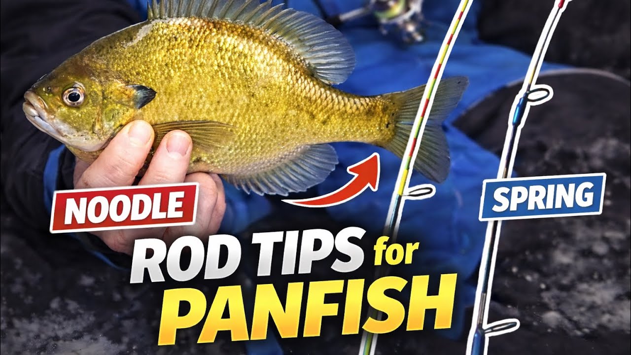 Spring Bobber Rods Noodle Rods vs Spring Bobbers: Choosing the Right Rod Tip for Ice ...