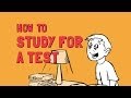 Study Skills Enhancement Quiz