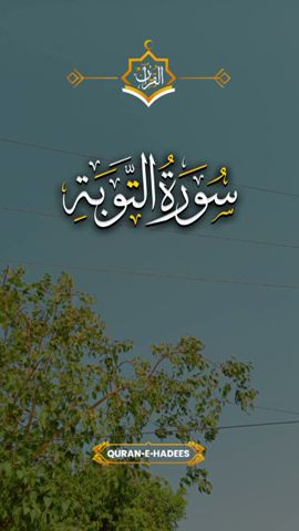 Surah taubah❤️ || Surah taubah with Urdu translation 💗 #shorts #surahtaubah