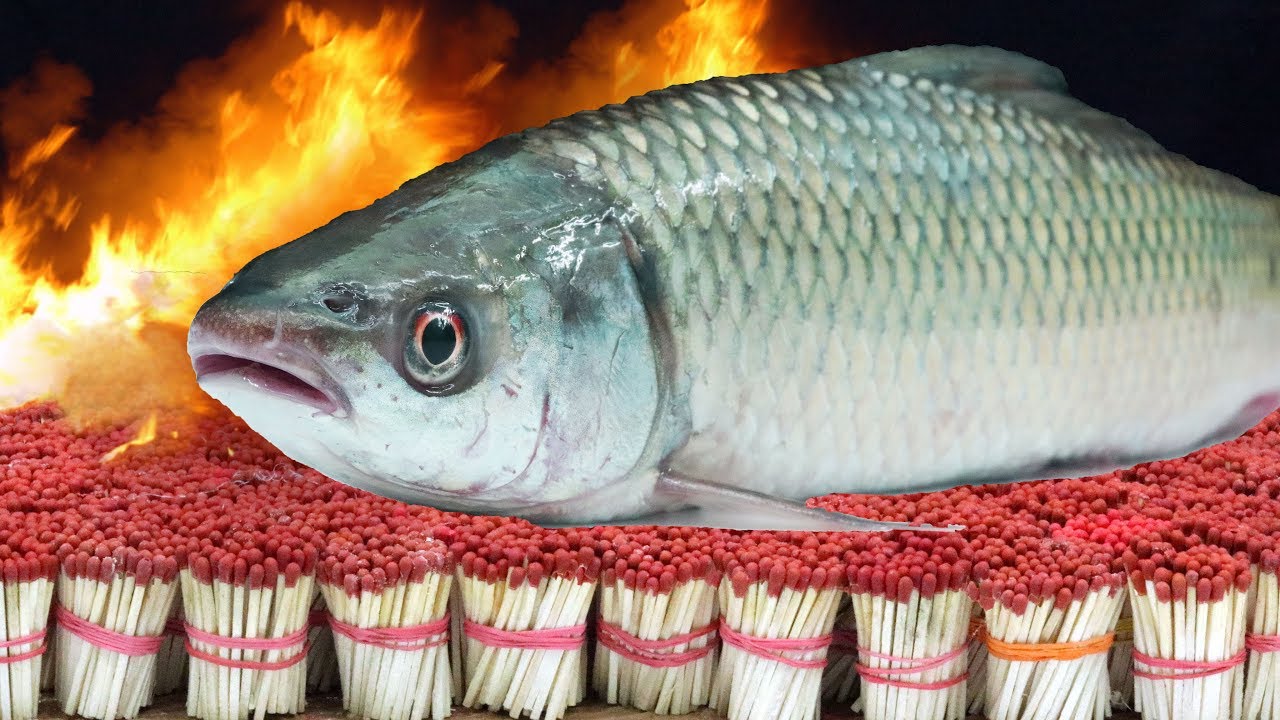 EXPERIMENT 50,000 SAFETY MATCHES vs FISH - YouTube