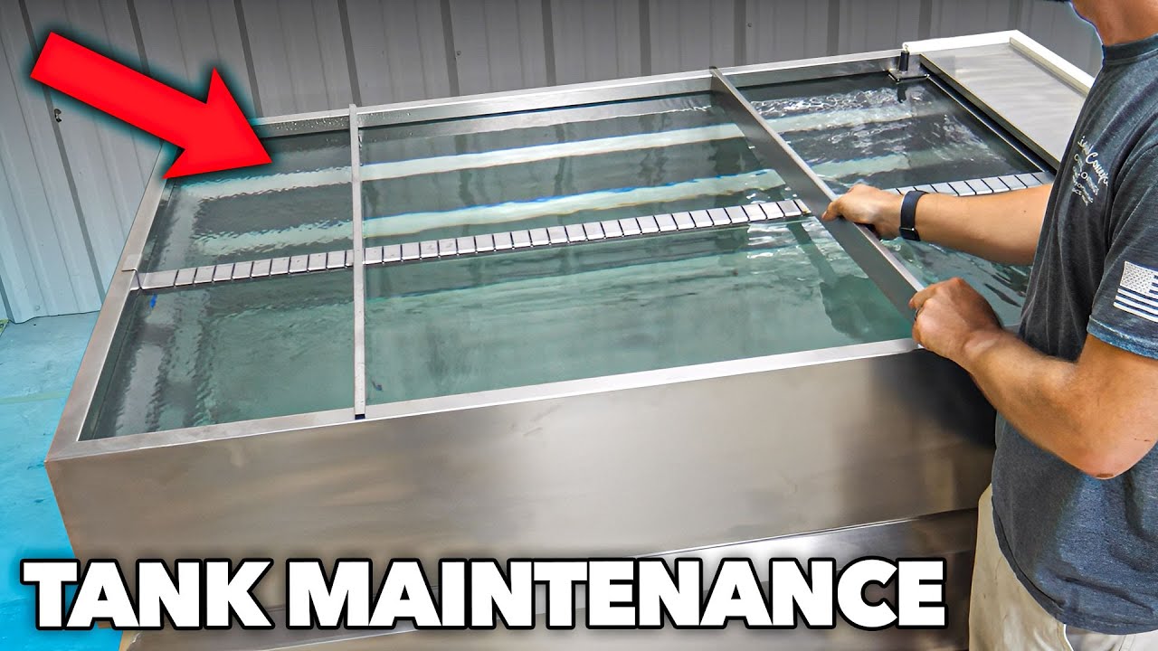 How to PROPERLY Do Maintenance on Your Hydrographics Tank! - YouTube