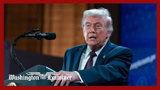 Bank Of America And Jpmorgan Chase Agree To Match 1,000 Contribution To Trump Accounts