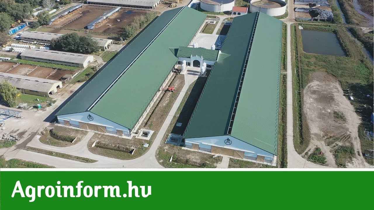 Növekvő tejhozam, nyugodt és egészséges jószágok: Itt nagyon jó tehénnek lenni!