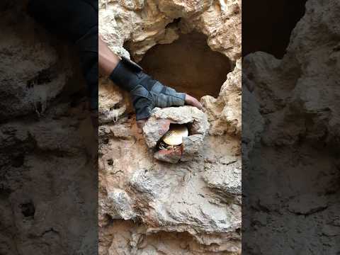           كنوز و دفائن البحث عن الكنز