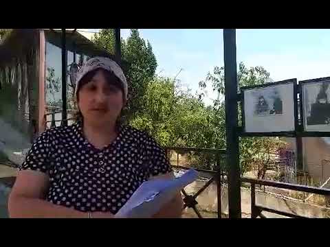 ხელმოწერები ხაშურიდან!!