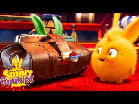 서커스 쇼 | SUNNY BUNNIES | 아이들을위한 만화 | WildBrain 한국어