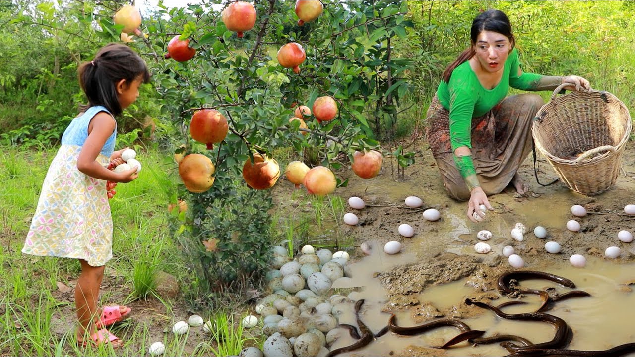 Catch many ell and pick a lot egg for food- Cooking ell spicy and egg ...