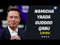 SEENAA HIN DUUNE Elon Musk Addunyaa Hammayyeessuuf A3multimediastudio SEENAA HIN DUUNE Elon Musk Addunyaa Hammayyeessuuf A3multimediastudio
