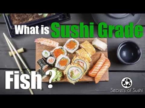 What is Sushi Grade Fish