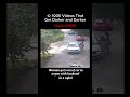 The Historic Moment a Tense Argument Turns Deadly in a Safari Park