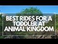 Best Rides For Toddlers At Disney World - A guide to Animal Kingdom rides with a toddler