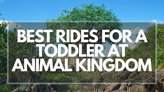 Best Rides For Toddlers At Disney World  A guide to Animal Kingdom rides with a toddler