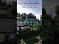 "Back to the roots, in the lap of Himalayas."💚#uttarakhand#nature #viral #view#peaceful #trending
