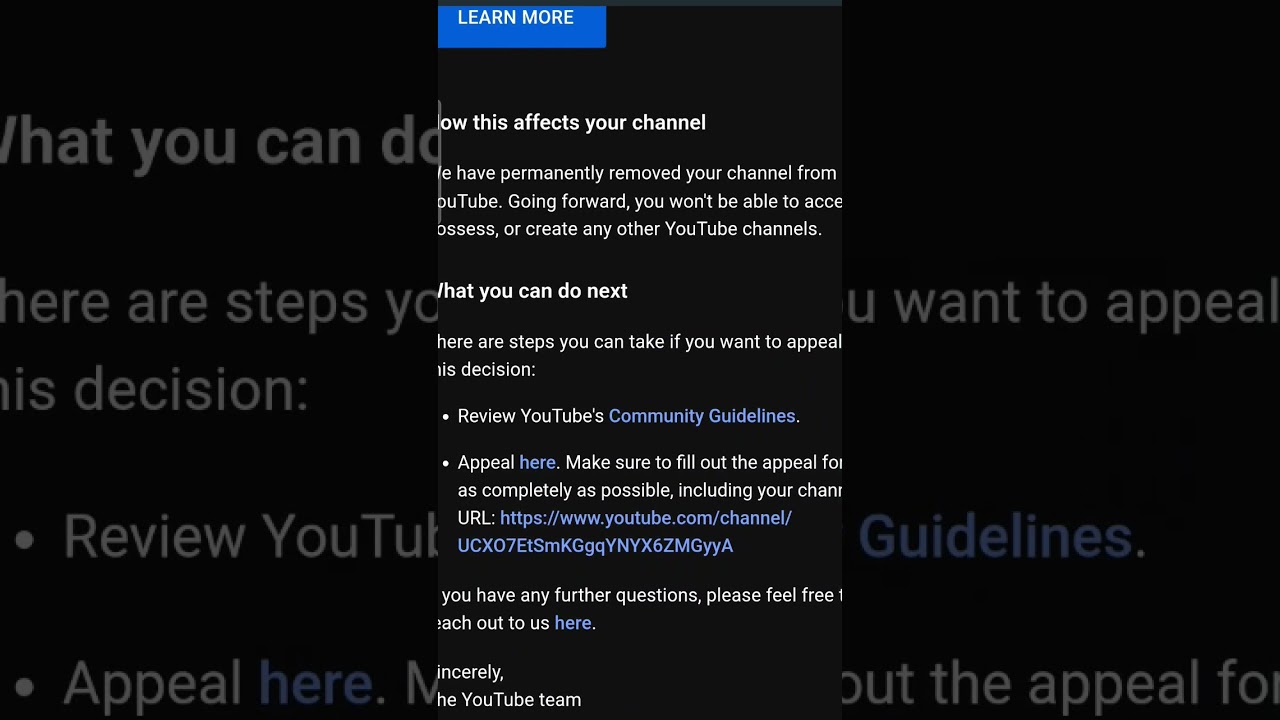 Appeal Form for removed youtube channel 