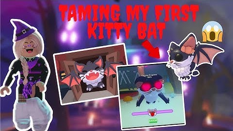 TAMING MY *FIRST* EVER KITTY BAT😱