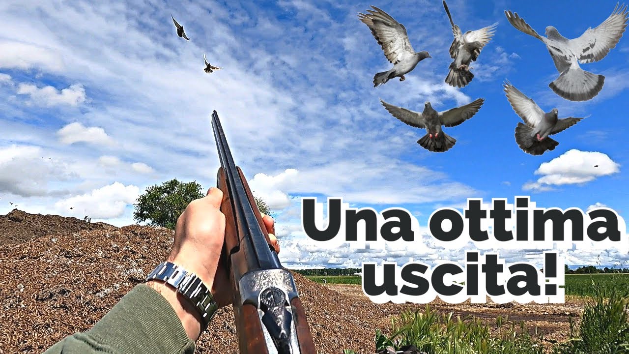 Piano di controllo 2025 - Il migliore pomeriggio a piccioni fini ad oggi!