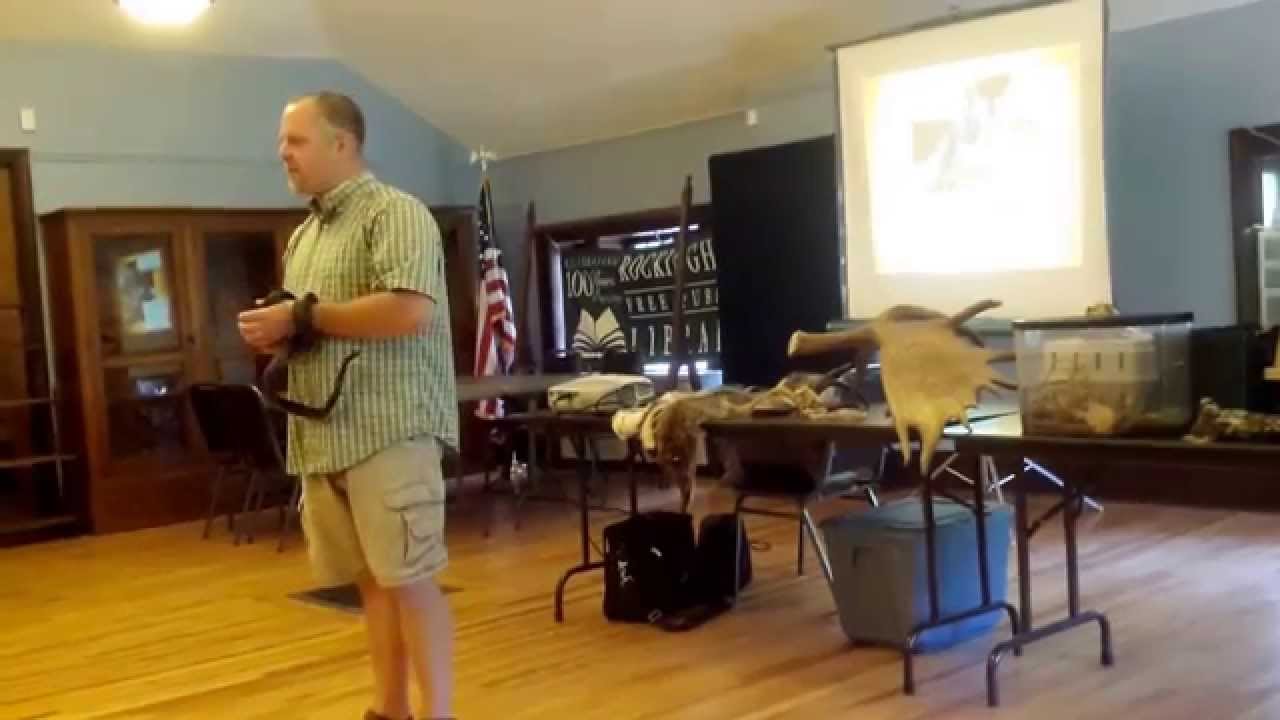 Library super animal edition event part 1