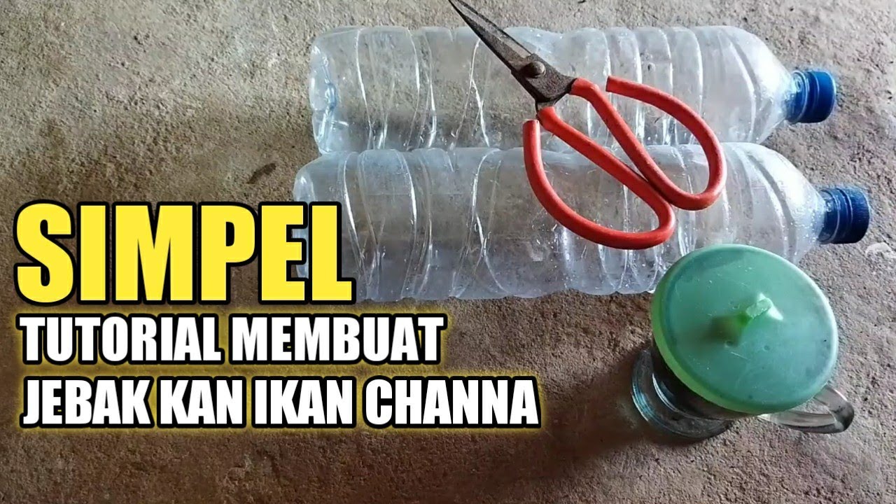 TUTORIAL MEMBUAT JEBAKAN IKAN CHANNA