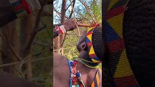 Hadzabe hunters will hunt with bows and arrows. | Jungle Reality!#shorts