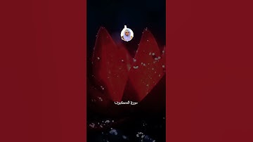 ولئن سألتهم من خلق السماوات والأرض #سورة_العنكبوت #ياسر_الدوسري #ارح_قلبك #القرآن_الكريم