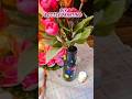 ✨ Turn Waste Bottle into Stunning Decor Piece 😍 | DIY Bottle Painting Idea 🎨♻️#diy #diyideas #craft