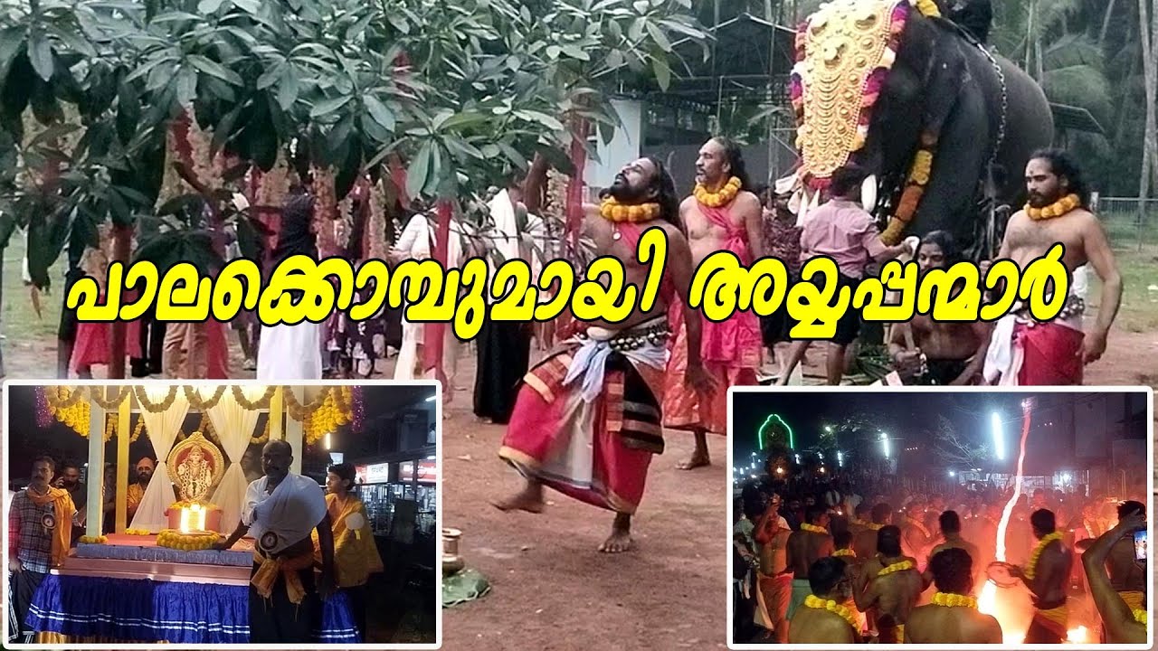 പാലക്കൊമ്പുമായി അയ്യപ്പന്മാർ |Vengeri Ayyappan Vilakku 2025 ( Part 1 )