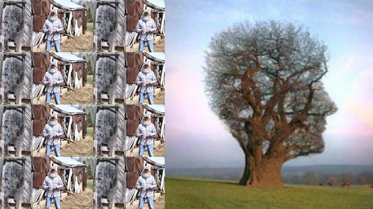 How Does God See The Average Church Pruning The Dead Wood YouTube