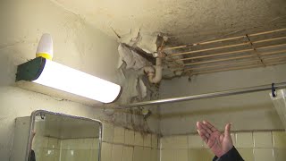 Federal court hearing concerning mold abatement in NYCHA apartments