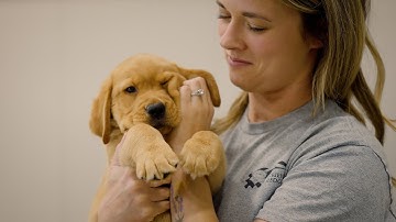 Video Storytelling for Nonprofits | Storyteller Studios