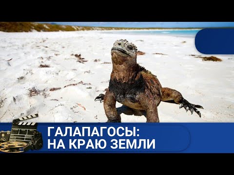 ГАЛАПАГОСЫ: НА КРАЮ ЗЕМЛИ / ДОКУМЕНТАЛЬНОЕ КИНО / 2019
