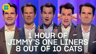 1 Hour of Jimmy Carr's Best 8 Out of 10 Cats One Liners | 8 Out of 10 Cats | Banijay Comedy