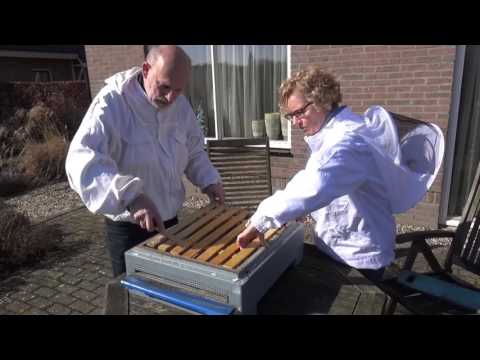 Video: Hoe Een Bijenkorf In Elkaar Te Zetten