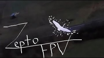 FPV Bird Chase