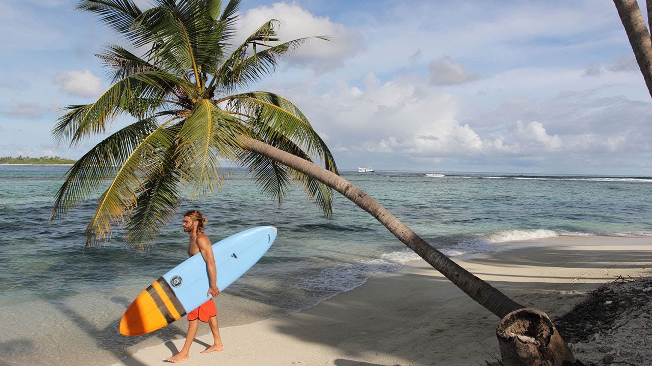 TwinsBros Surfboards: Black Swan