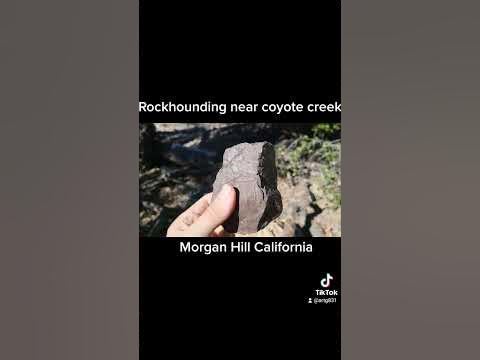 Rockhounding near Coyote Creek Morgan Hill California. - YouTube