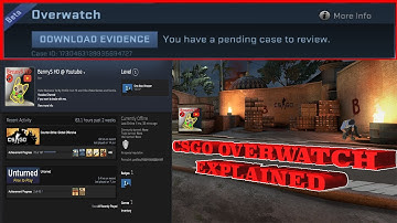 CSGO OVERWATCH EXPLAINED!